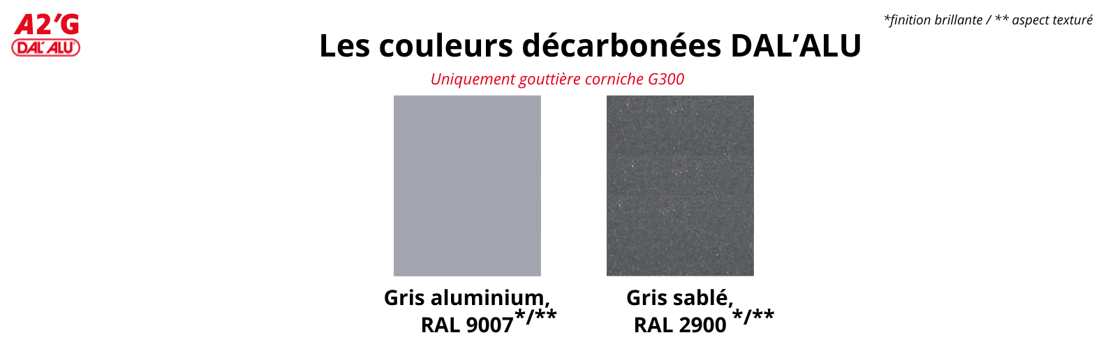 G300 DECARBONE (1)